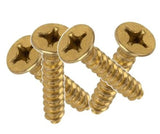 Large Brass  Screws (100 count) #12x1.5" - 4Rails.com