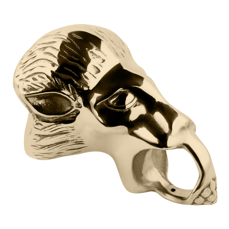 Lion Head Arm Rail Bracket 2.0" - All finishes Satin Brass