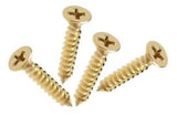 Small Brass Wood Screws (100 count)