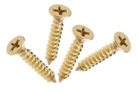 Small Brass Wood  Screws (100 count)